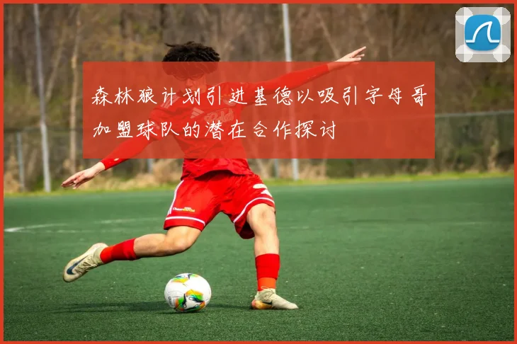 森林狼计划引进基德以吸引字母哥加盟球队的潜在合作探讨