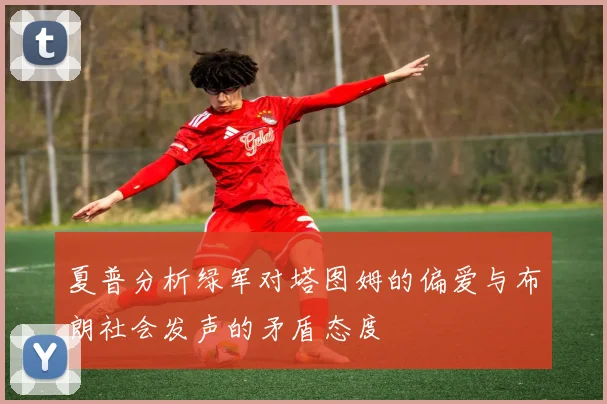 夏普分析绿军对塔图姆的偏爱与布朗社会发声的矛盾态度