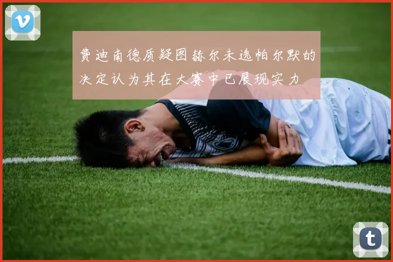 费迪南德质疑图赫尔未选帕尔默的决定认为其在大赛中已展现实力