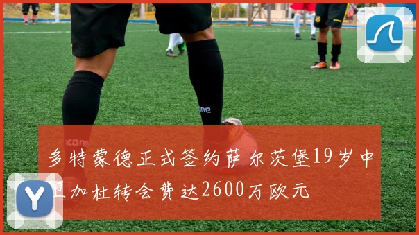 多特蒙德正式签约萨尔茨堡19岁中卫加杜转会费达2600万欧元