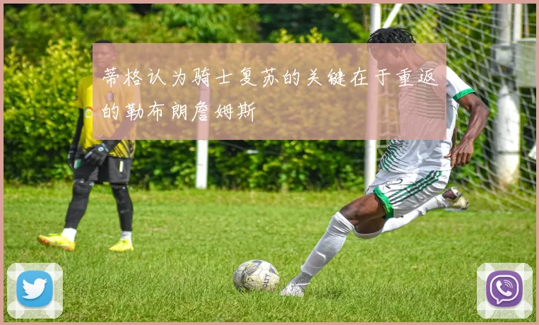 蒂格认为骑士复苏的关键在于重返的勒布朗詹姆斯